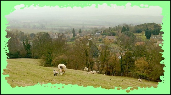 Sheep and Ilmington beyond